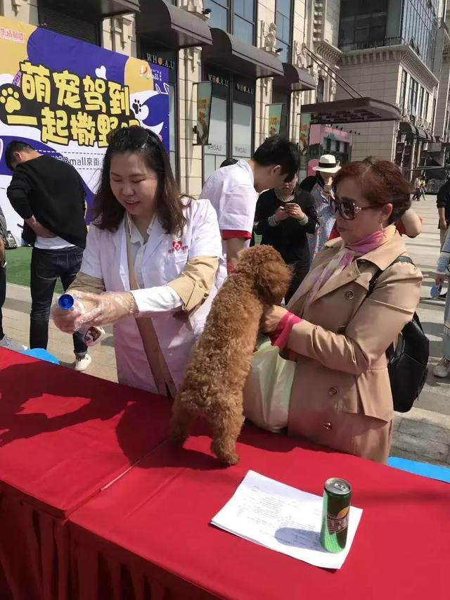 宠园宠物医院今举办"萌宠生活节!快来看看宝贝们的风姿吧!_活动