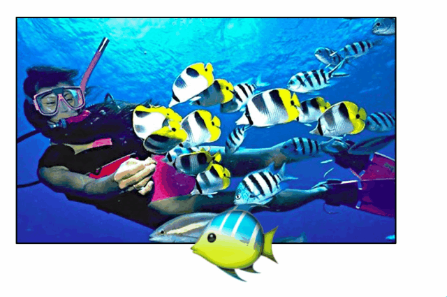 做最swag的儿童|让爸爸妈妈带你去大宁国际