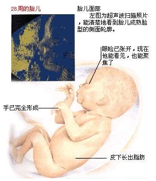e13f7fa550b841b49d35f5eb2e40a972.png