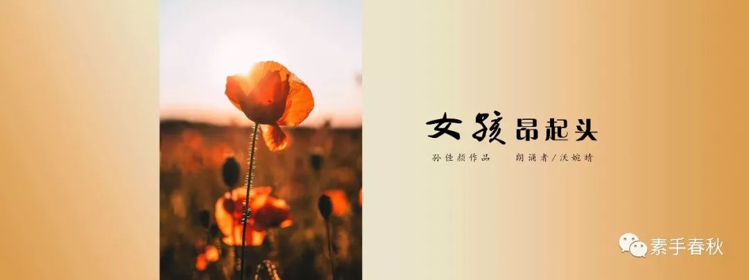 文章配图-29