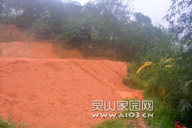 灵山旧州某村十亩山林缘何被夷为平地?