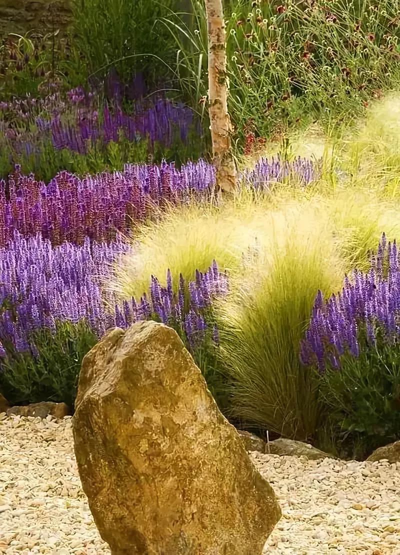 花境非花景,是一种意境