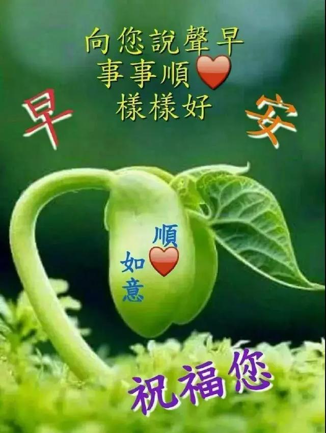 你是我最牵挂的朋友,一声"早安"愿友安好!