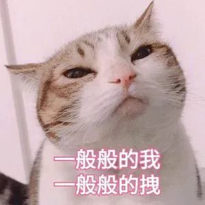 13acd52ef2b84f2a98d3617e9143172f.jpeg