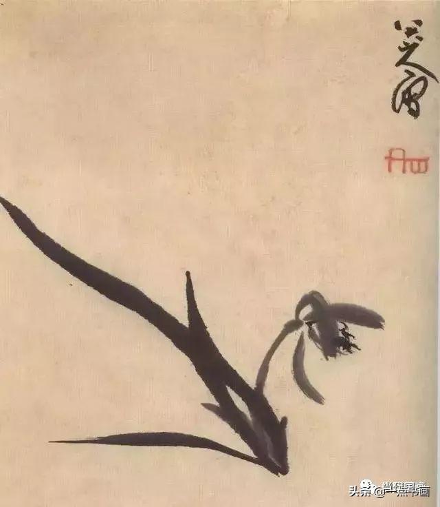 八大山人笔下的花,别开生面,直指人心!