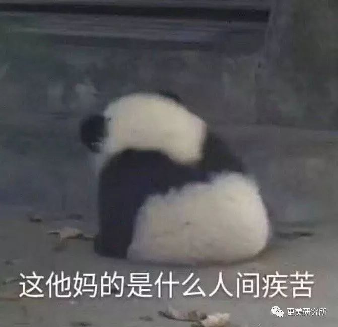 倪妮baby五一出行正面刚,天宝输惨了! 云顶国际平台