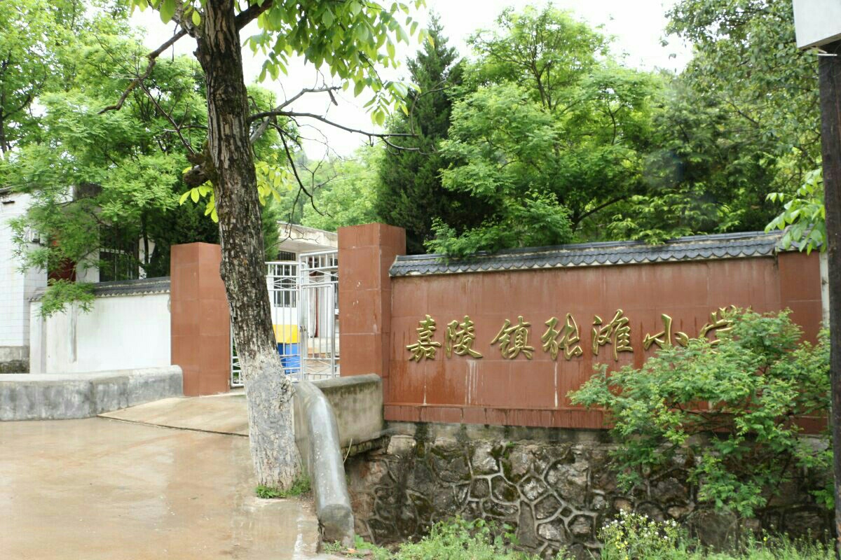 
【围观】陇南徽县农村3个老师6个年级8个学生的风雨坚守


