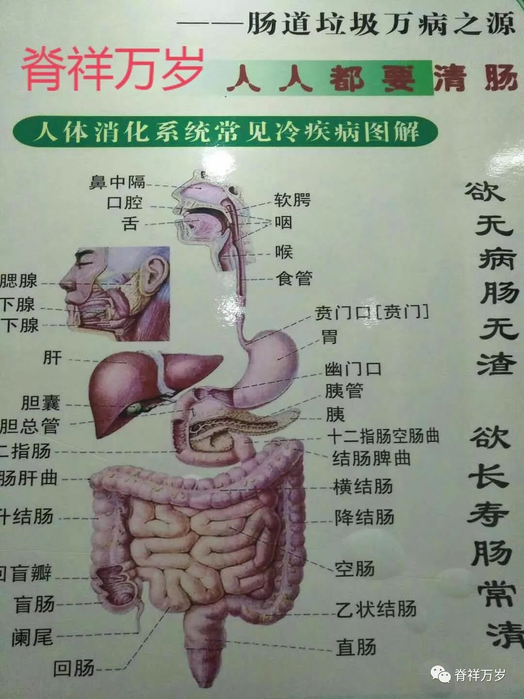 "压痛点"辨证出的内脏疾病