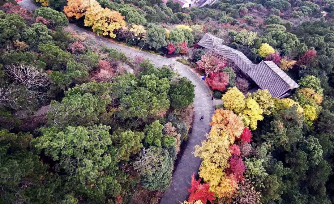 临平山环山游步道