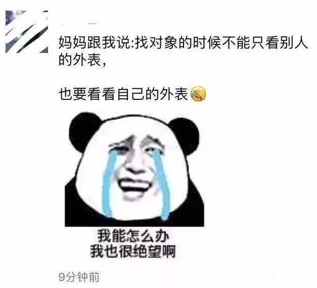 笑到无法自拔的快乐源泉  ▼  那确实挺尴尬的  你妈言之有理  ▼