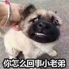 说啥呢小老弟 3afbe052d8fd42048388ba00ec912613.jpeg