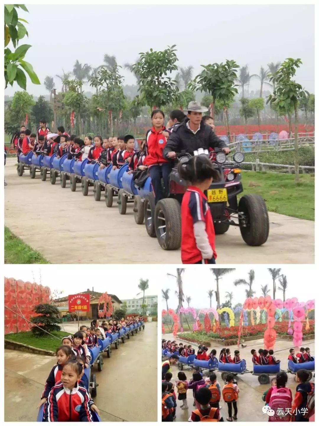游在玉林抓住假期的尾巴一起来回家小镇看花海