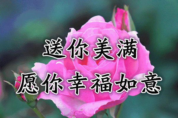 累祝快乐开心每一天送你几个美好祝愿未来的日子里我会在这里一直祝福你