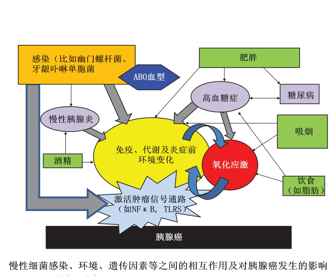 德国牙总人口_德国牧羊犬(2)