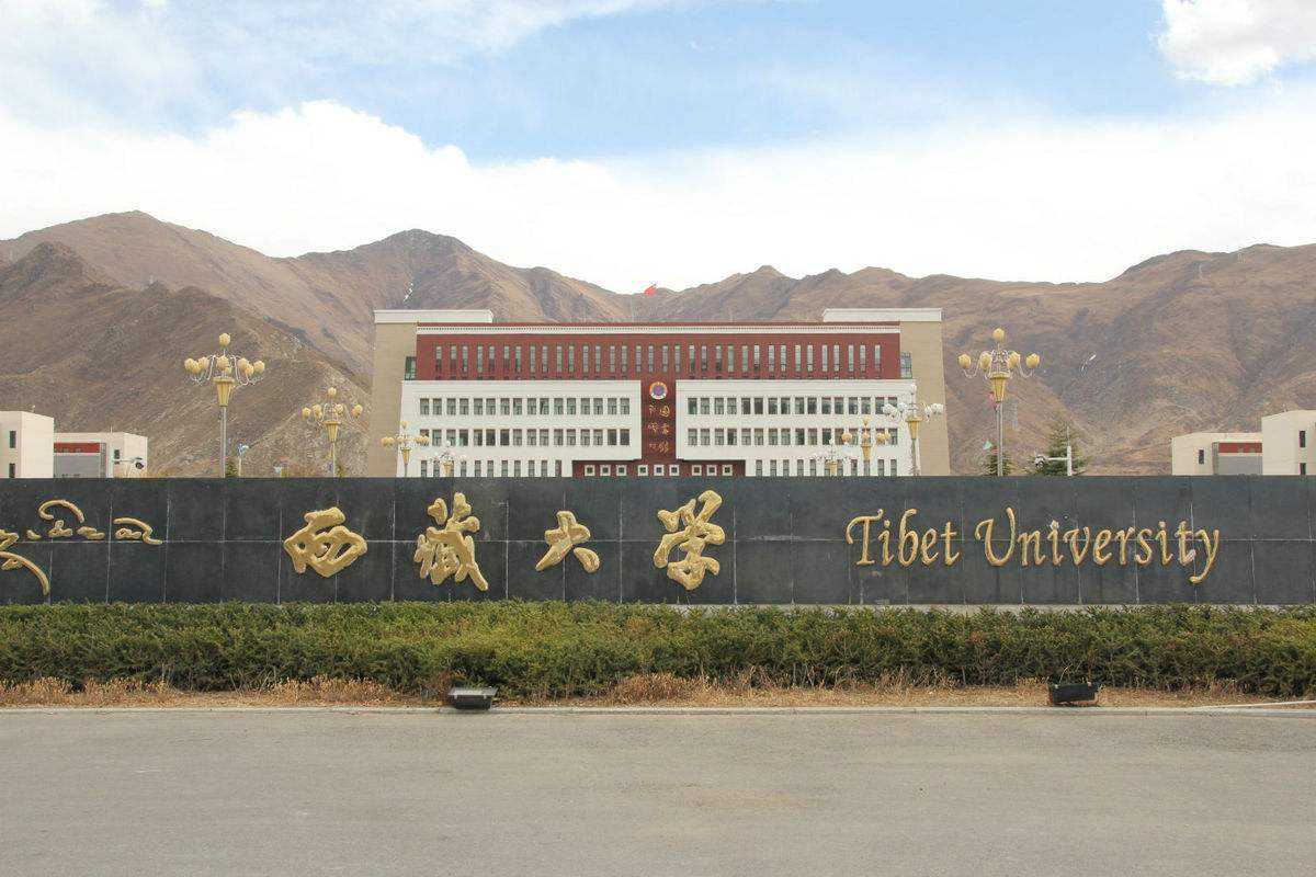 
原创
我国最失落的两类211大学，第一类有点委屈，第二类有点无奈


