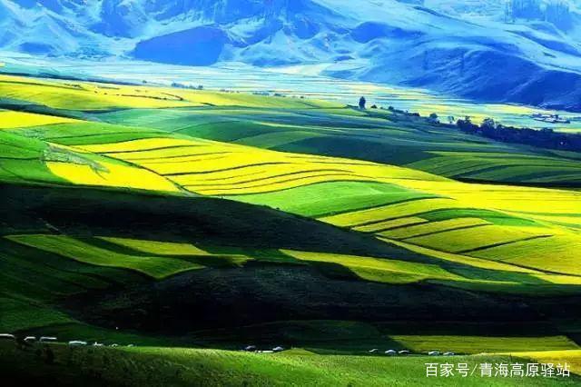全球旅游景区品质排行:不容错过的梦幻天堂