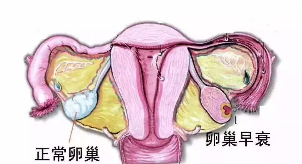 6a86bb7067584fddabbeed5bdb781ff1.jpg