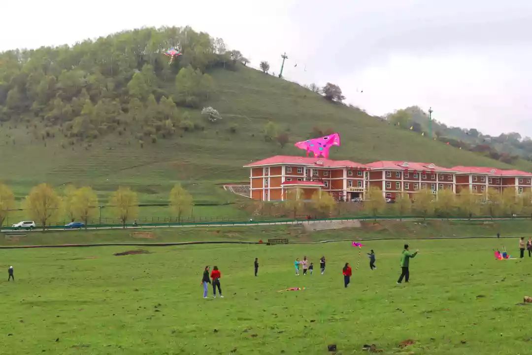 关山草原第三届国际风筝艺术节正在景区如火如荼地举行,直径四米左右