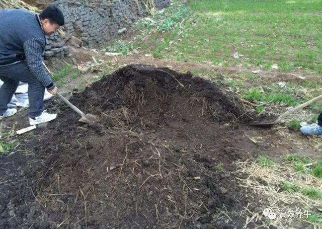 养牛产生牛粪多,怎么处理牛粪变废为宝呢?