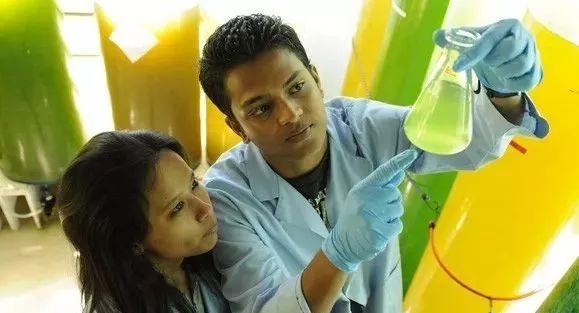 专业赚钱排行_专业“钱途榜”出炉!最赚钱的竟然是……(2)