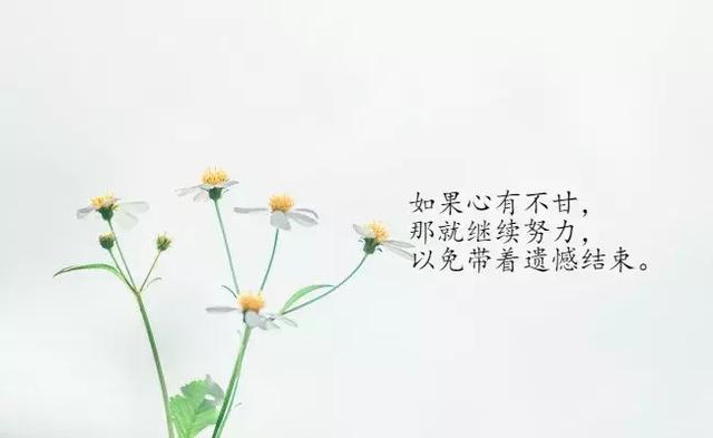 78e67a0be650498191fe4c1e4dff39ff.jpeg