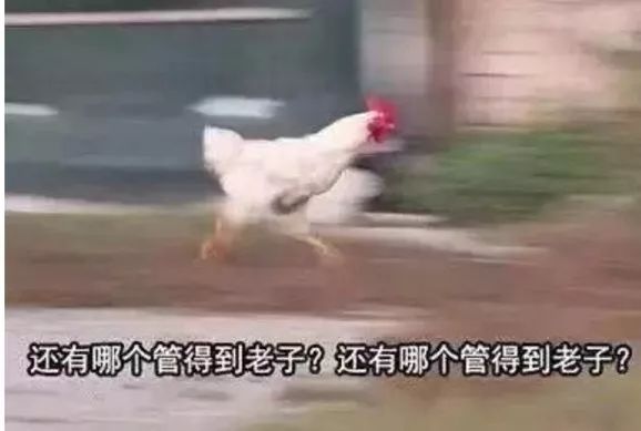 7b493760ac254ca88d158befe69a0e15.jpeg