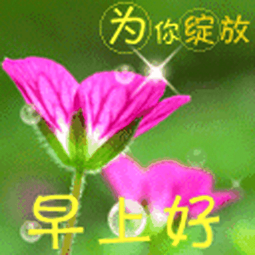 真诚的祝愿朋友万事顺意,快乐相随,天天都有好心情,早安!