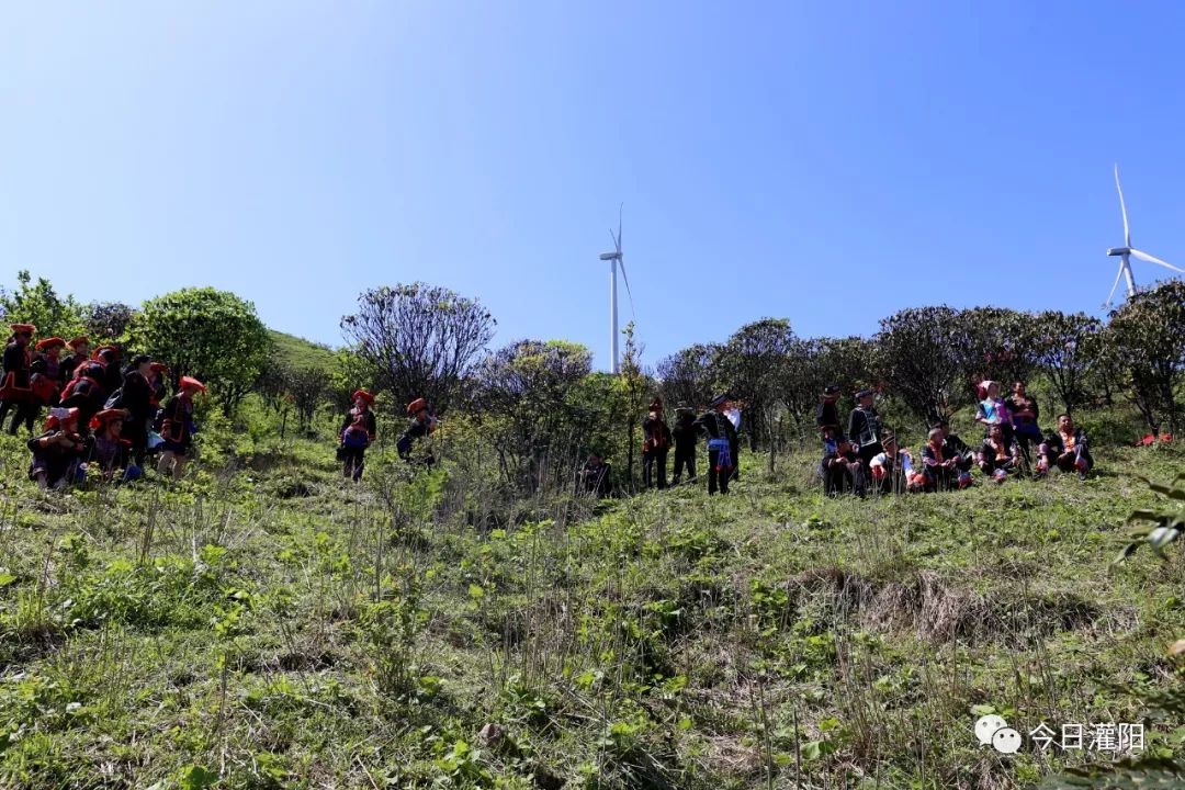 乡韵山歌响彻山云间灌阳全州兴安三县歌者齐聚宝界山