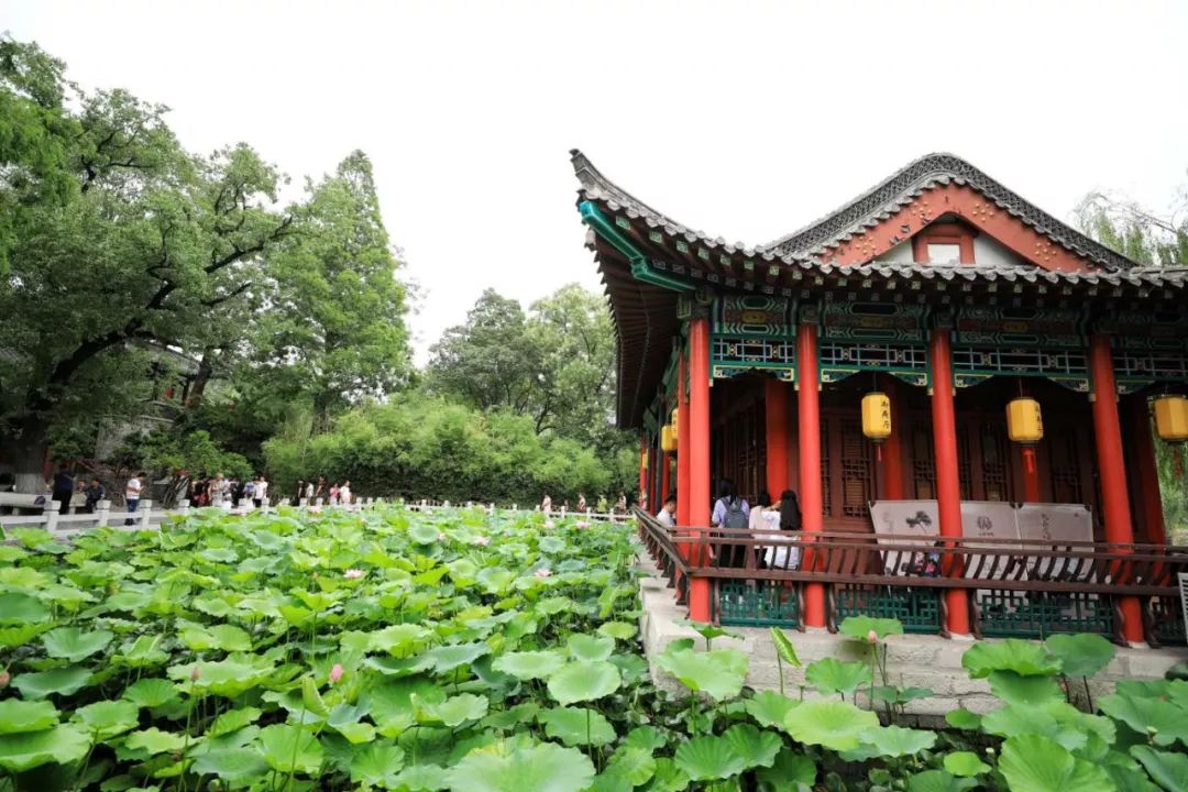 电视剧带火的取景地!大明湖绝对榜上有名