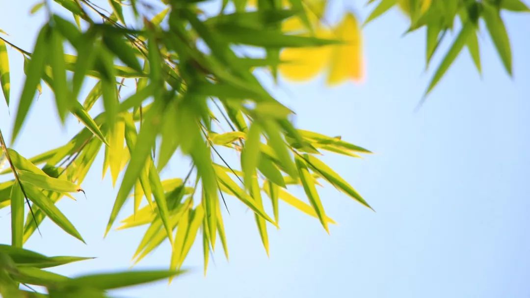 
一张台湾语文试卷，90%大陆孩子得零分，你能答对几题？


