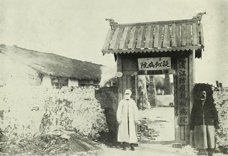 黑色侵袭了那年东北的天空，也带走了6万人的生命