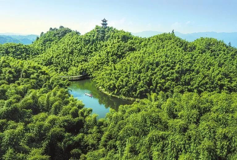 沐川竹海