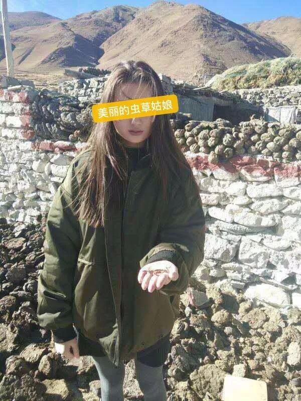 涉案金额近200万!义乌警方抓获“虫草美女”!还有17人被.... dafa888游戏网址