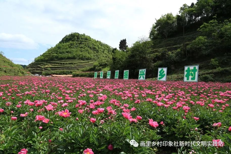 6万人口的小县城开游泳馆_开泰游泳馆(3)