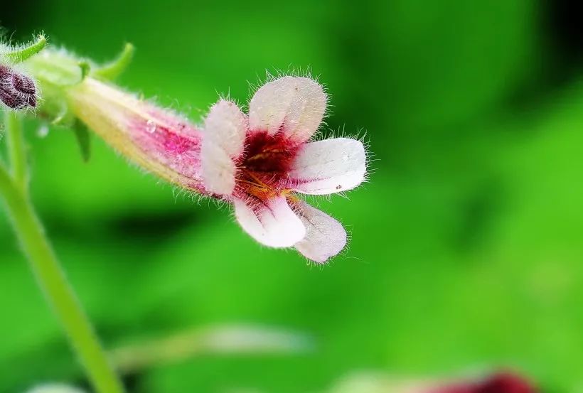 这人一晃,就老了(心酸)