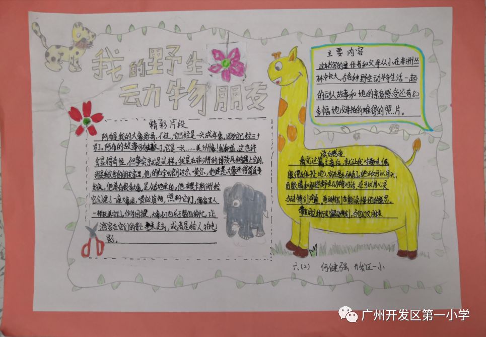 "好书进校园"之"科学读书卡"制作大赛 ---广州开发区第一小学2019年第