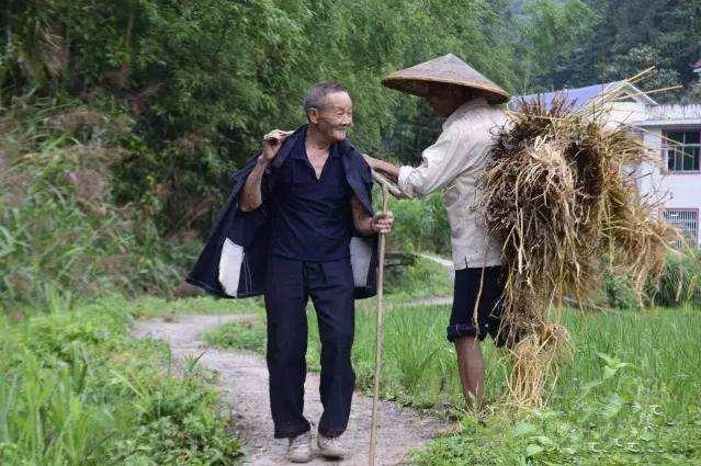 赊刀人最后一次预言