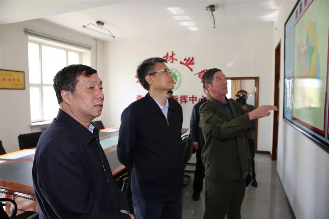 【关注】张旭东在松花江林区调研时强调 全力保护好森林资源 稳步推进