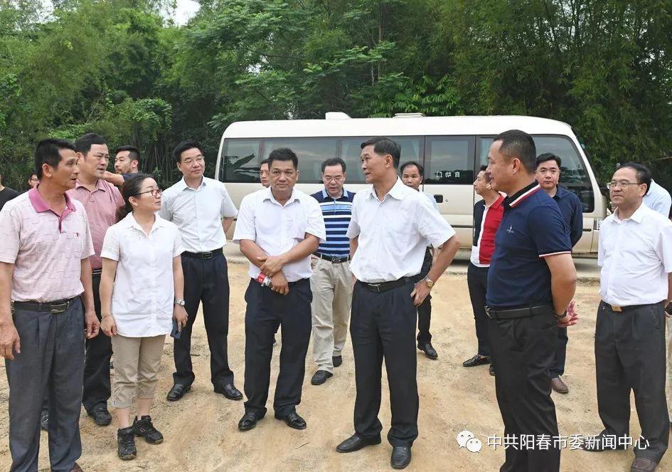 阳春市委办,市委组织部及市住建局,交通运输局,农业农村局,林业局和
