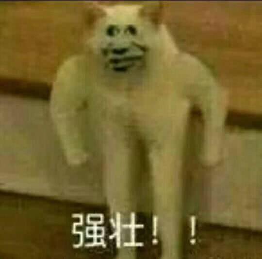 f5b8d24a14b74909a13b6576f63fae4e.jpeg