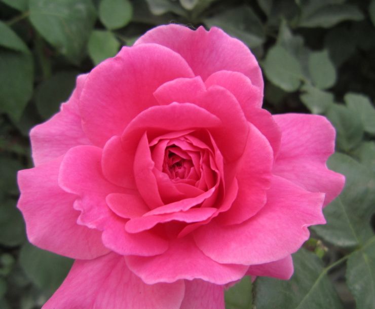 5月6号开始,踩到狗屎运,横财特别旺,抓住财运必