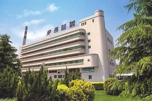 
步长的大佬坑了自家“公主”？


