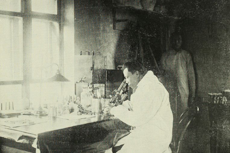 黑色侵袭了那年东北的天空，也带走了6万人的生命