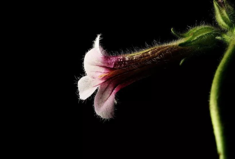 这人一晃,就老了(心酸)