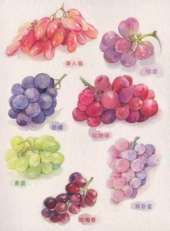 许多水果用英语怎么说