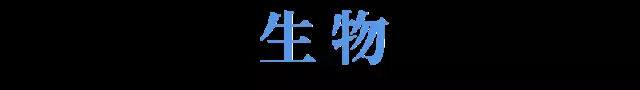 5月大局已定?985学霸和顶尖高中名师告诉你:这样学就能逆袭!
5月大局已定?985学霸和顶尖高中名师告诉你:这样学就能逆袭!