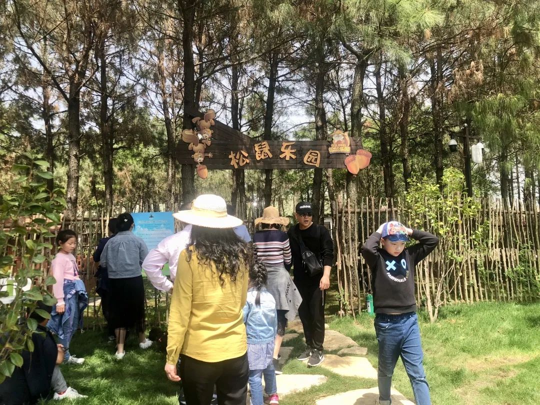 松鼠乐园