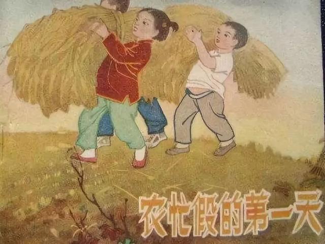在村里长大的伙伴们, 还记得我们小时候, "农忙假"正是收油菜籽,栽秧