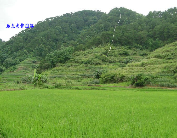 如何甄别坟墓风水宝地,实战派风水大师王君植寻龙风水案例叫你眼前一