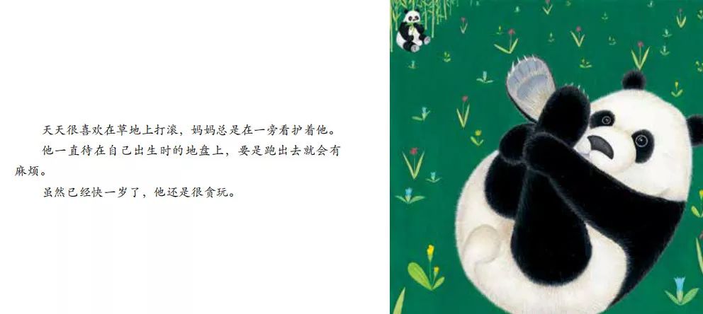 乐爸导读 今天分享的绘本故事叫《熊猫,大熊猫,体色为黑白两色,它有